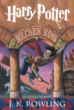 Harry Potter és a bölcsek köve