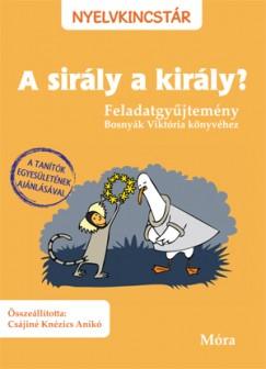 A sirály a király? - Feladatgyűjtemény Bosnyák Viktória könyvéhez