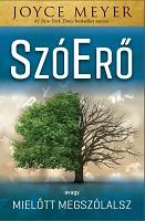 Szóerő